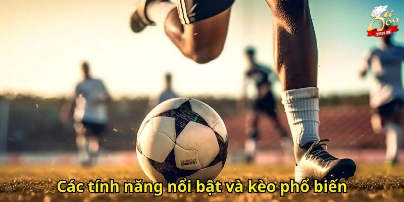 Thể Thao Soi69: Sân Chơi Cá Cược Thể Thao Uy Tín Hàng Đầu 1 Các tính năng nổi bật và kèo phổ biến